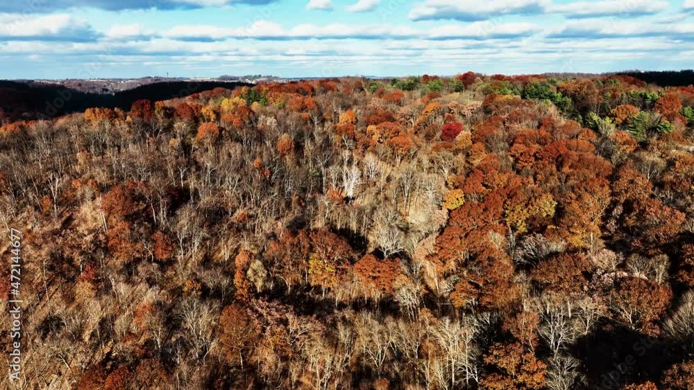 Aerial - Mavic 3 Cine | Fall Foliage Aerial - Mavic 3 Cine | Fall Foliage