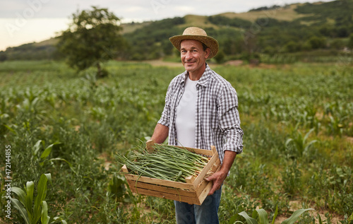 Canvastavla Farmer picking harvest in agricultural field