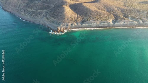 Drone video of schooling cownose mobula rays swimming in the sea of cortez at Cabo Pulmo National Park in Baja California Sur, Mexico photo