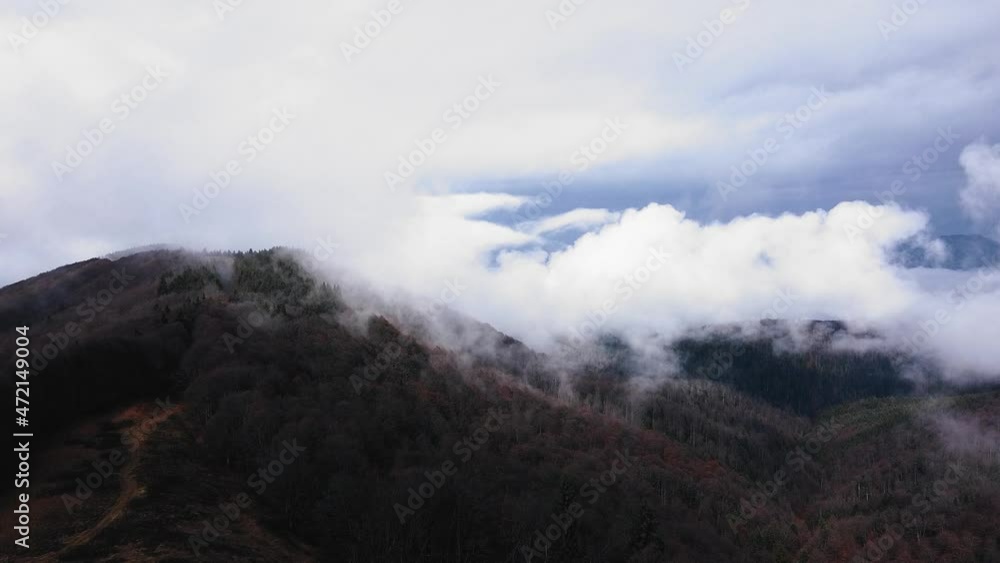 Drone flight over a mountain with amber trees with a foggy background. Drone flight over a mountain with amber trees with a foggy background.