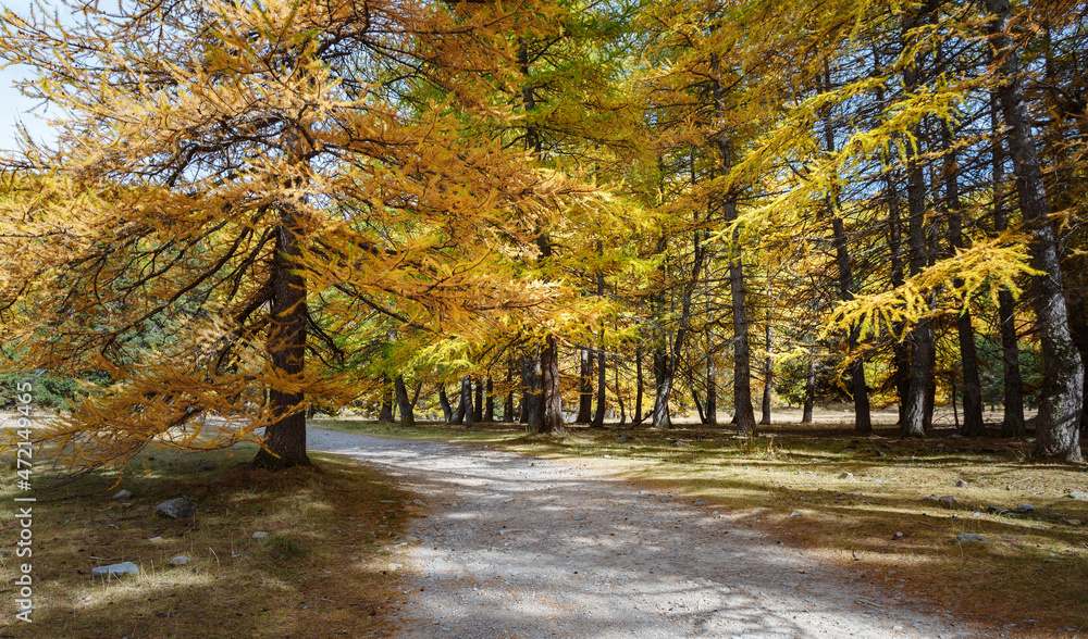 Parc du Mercantour, automne en Provence, Alpes de Hautes-Provence, France 