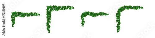 Ivy corners, climbing vine with green leaves of creeper plant for border or frame decoration. Hedera branch hanging on garden wall, isolated on white background. Realistic 3d vector illustration, set