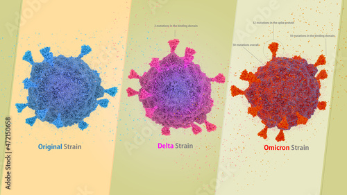 Photos COVID-19 virus SARS-COV-2 original strain, DELTA and OMICRON strain comparison , covid-19 B