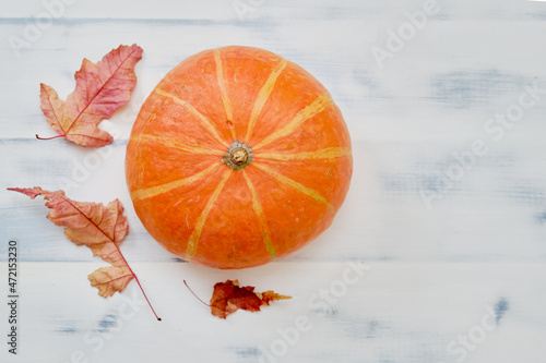 Decorative orange pumpkin on a wooden white background made of planks, copy space