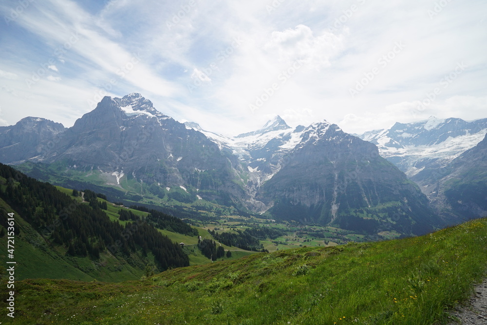 swiss mountains in the summer