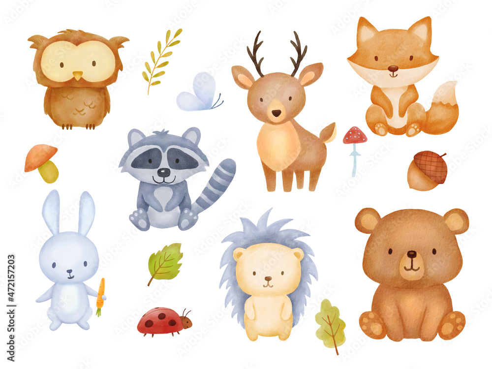 Fototapeta premium Collection of forest animals, mushroom, plant. Watercolor illustration isolated on white background for greeting card, invitation. Cartoon characters bear, hedgehog, owl, raccoon, fox.