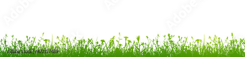 green flowers and grass isolated on white background illustration