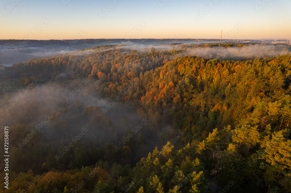 Aerial autumn fall sunrise view of foggy forest in Vilnius, Lithuania