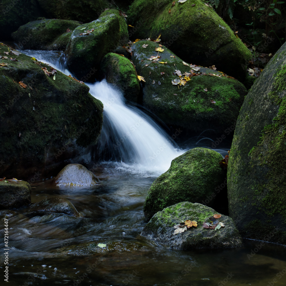 Water running over rocks covered with green moss in the Black Forest of Germany on a fall day. Water running over rocks covered with green moss in the Black Forest of Germany on a fall day.