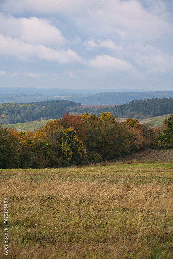 In Saarland forests, meadows and solitary trees in autumn look.