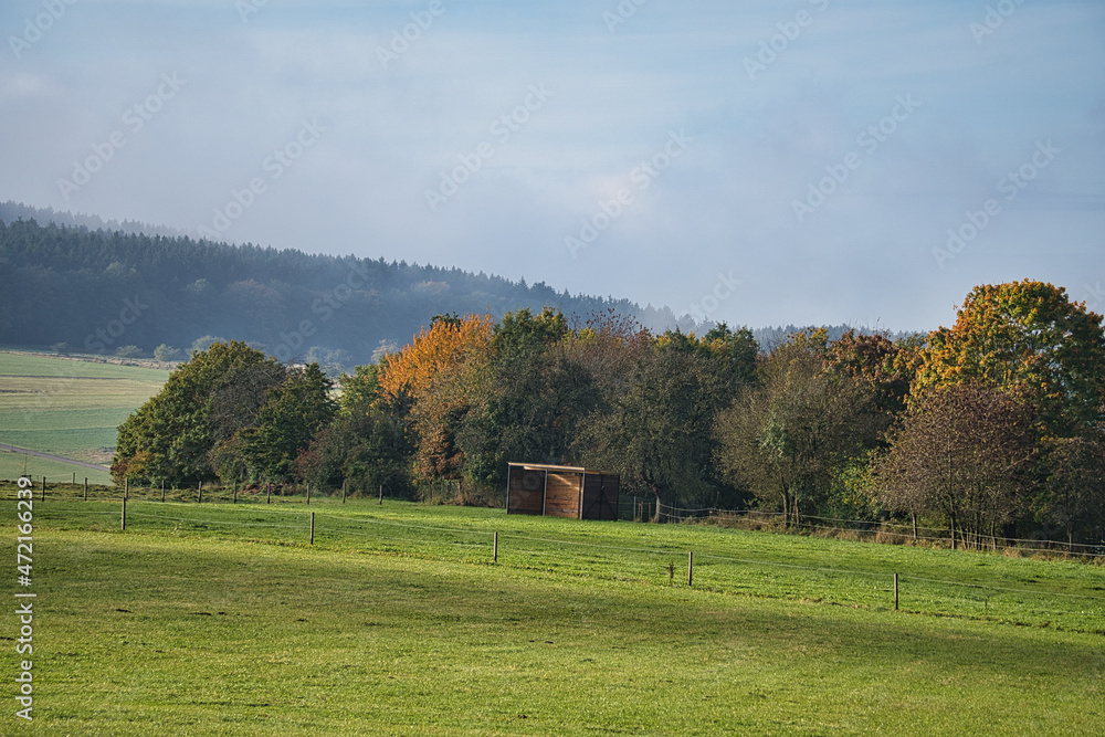 Obraz premium In Saarland forests, meadows and solitary trees in autumn look.