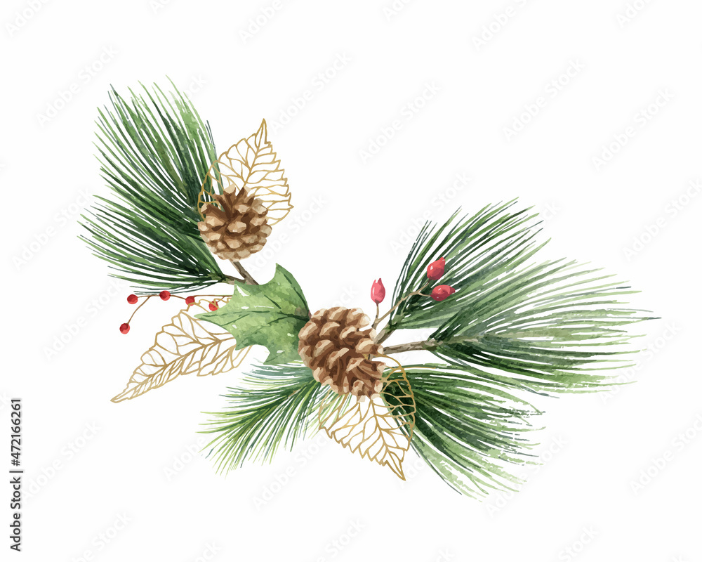 Watercolor vector Christmas wreath with fir branches, leaves and a cone ...