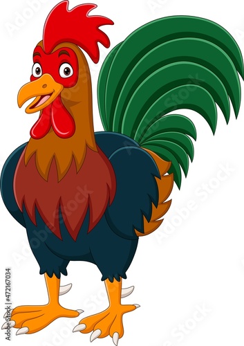 Cartoon funny rooster on white background