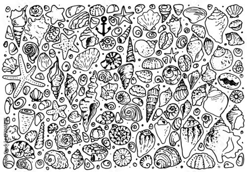 A set of shell doodles, starfish and sea urchin shells. Doodle-style marine large collection of shell stones of various shapes, isolated black outline on white for a summer design template