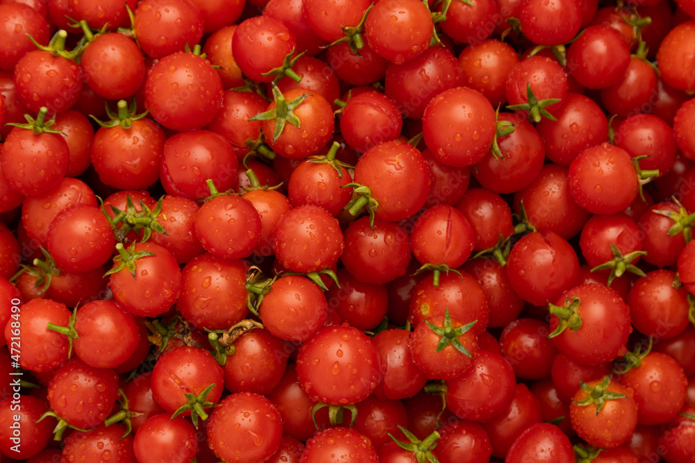 fresh cherry tomatoes as background fresh cherry tomatoes as background