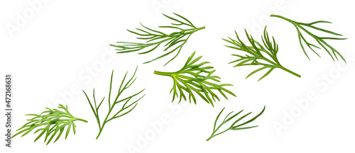 Fényképezés Flying dill isolated on white background