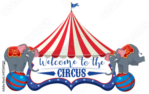 Welcome to the circus with elephant performance balancing on ball
