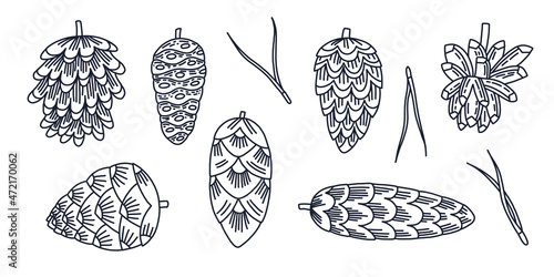 Set of vector contour cones and pine needles. Doodle illustration for coloring, wallpaper, decoration