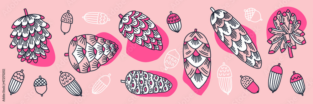 Collection of cones of conifers and acorns. Vector hand-drawn illustration for decoration, stickers Collection of cones of conifers and acorns. Vector hand-drawn illustration for decoration, stickers