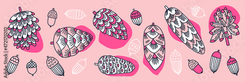 Collection of cones of conifers and acorns. Vector hand-drawn illustration for decoration, stickers