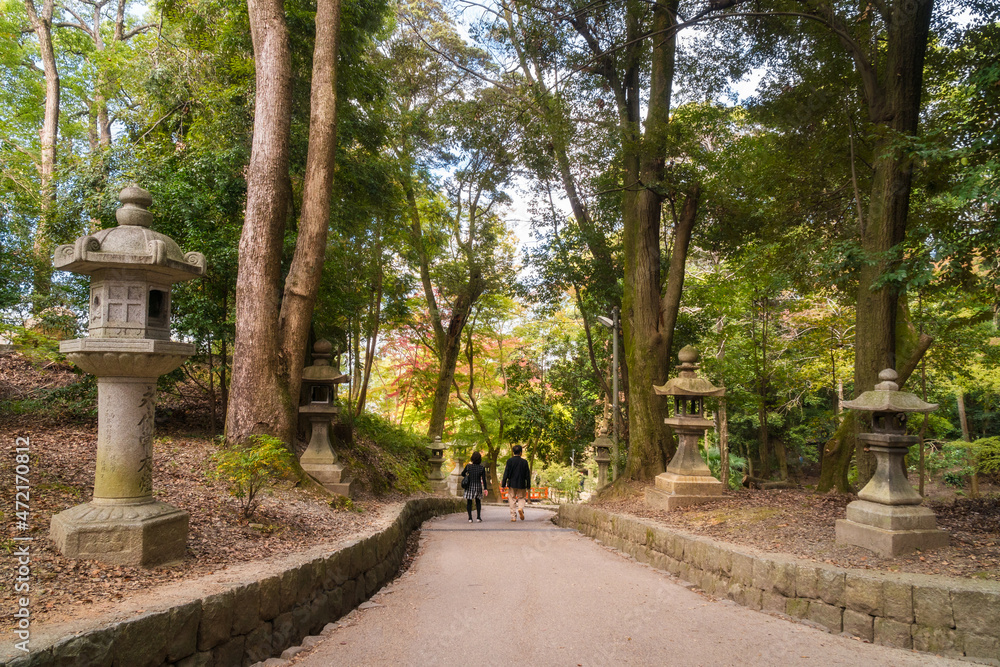 The corridor of vermillion torii gates also known as Senbon Torii winds up Mt Inari. Sometimes the visitors continue the path through the forest. -Fushimi Inari, Kyoto, Japan.