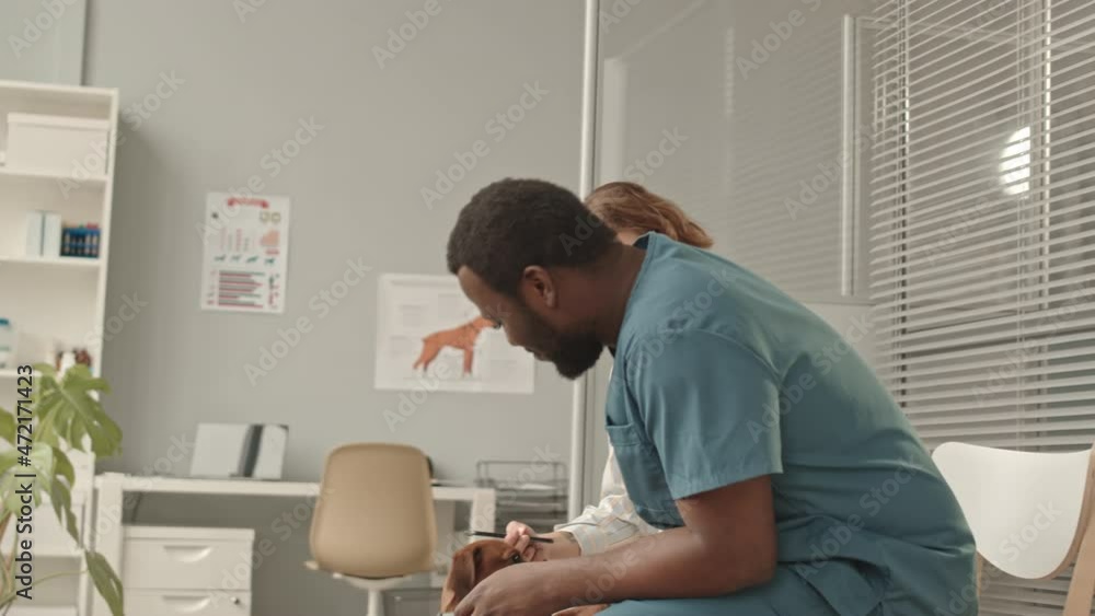 Tilting up of young Caucasian woman sitting on chair in hallway of veterinary clinic with smartphone, holding cute dachshund dog on leash, Black male doctor greeting them and talking Tilting up of young Caucasian woman sitting on chair in hallway of veterinary clinic with smartphone, holding cute dachshund dog on leash, Black male doctor greeting them and talking