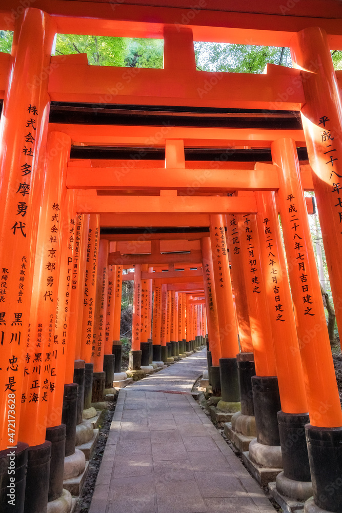Senbon Torii is an impressive corridor of about a thousand vermillion torii gates winding up Mt Inari. Fushimi Inari Taisha is the head shrine in Kyoto. The gates are filtering the light beautifully.