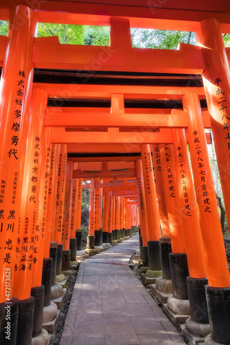 Senbon Torii is an impressive corridor of about a thousand vermillion torii gates winding up Mt Inari. Fushimi Inari Taisha is the head shrine in Kyoto. The gates are filtering the light beautifully.