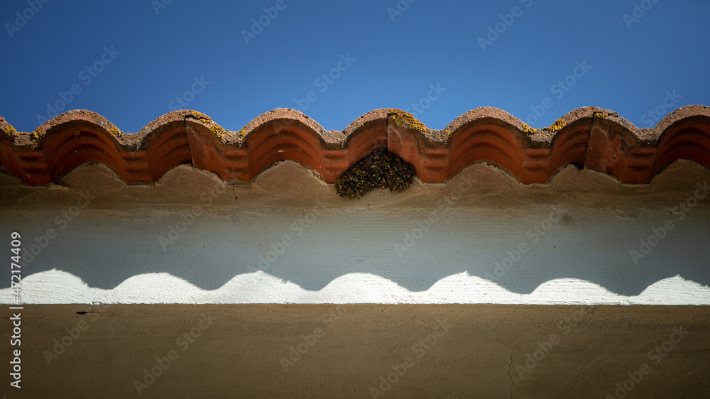 Wasp nest under the tiles of a house. A group of paper wasps building a nest Wasp nest under the tiles of a house. A group of paper wasps building a nest