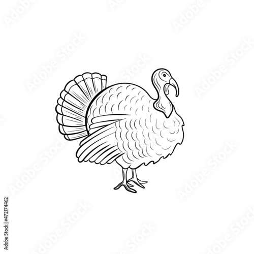 turkey bird illustration, black outline drawing isolated on white background.