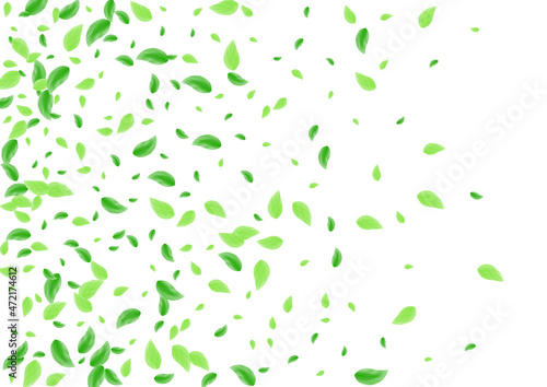 Greenish Leaves Background White Vector. Vegetation Simple Illustration. Motion Texture. Green Flora Design. Foliage Air.