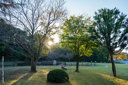 秋の公園と逆光に照らされるベビーカー