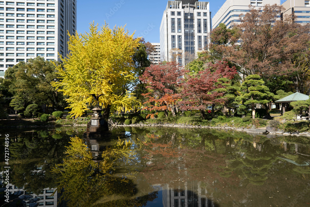 日比谷公園の紅葉と池と都会のビル群