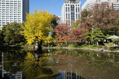 日比谷公園の紅葉と池と都会のビル群