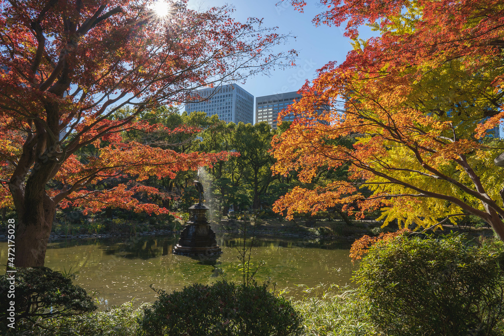 Obraz premium 日比谷公園の紅葉と池と都会のビル群