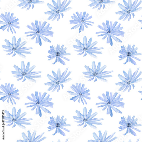 Chicory blue-lilac flower seamless pattern on white background. Watercolor hand drawing illustration for herbal card, textile, wallpaper.