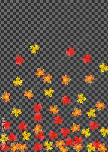 Green Leaf Background Transparent Vector. Leaves Season Frame. Autumnal Realistic Plant. November Foliage Design.