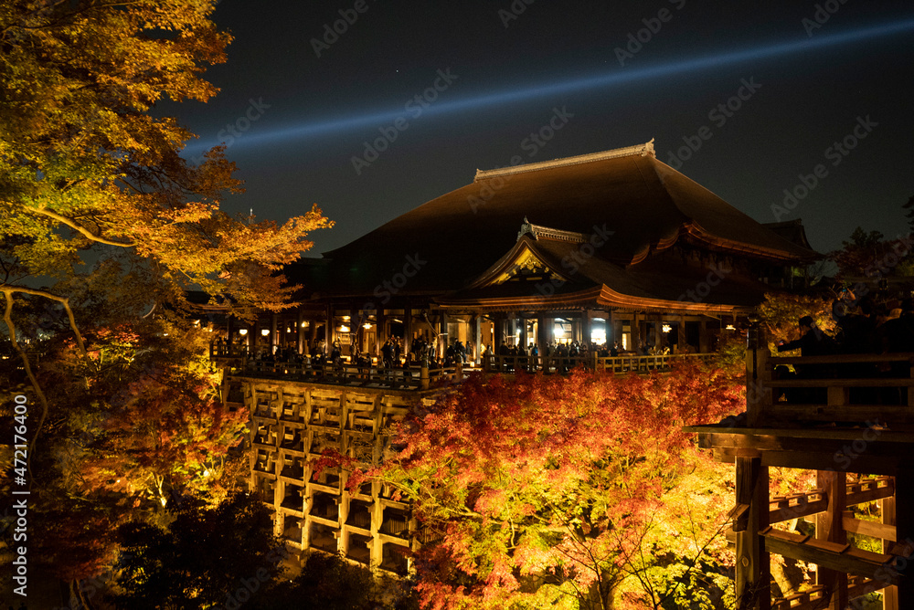 Fototapeta premium Illumination of autumn leaves and Kiyomizu-dera in Kyoto