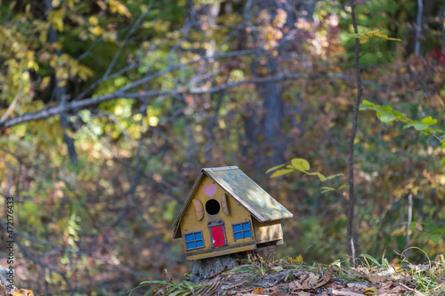 bird house in the forest © Pavel