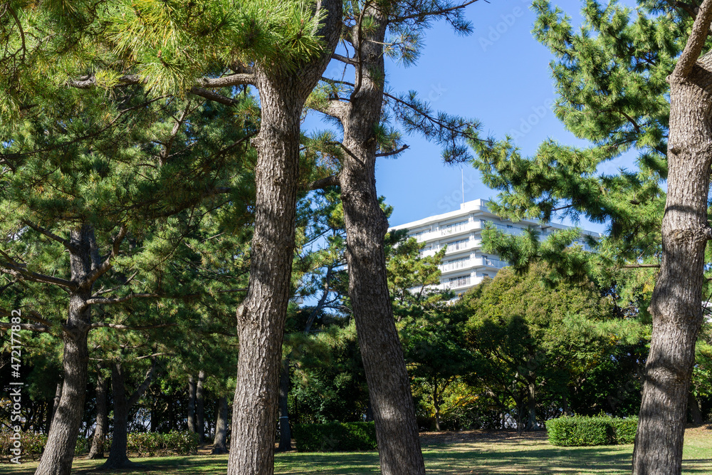 Fototapeta premium 神奈川県横浜市金沢区の海の公園