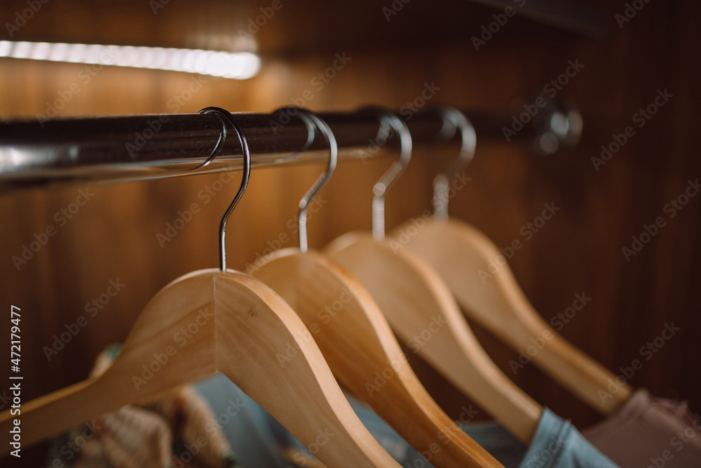 Clothes hang on clothing rack in a wooden cabinet with lighting in the house