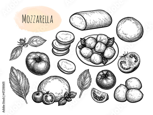 Mozzarella cheese big set.
