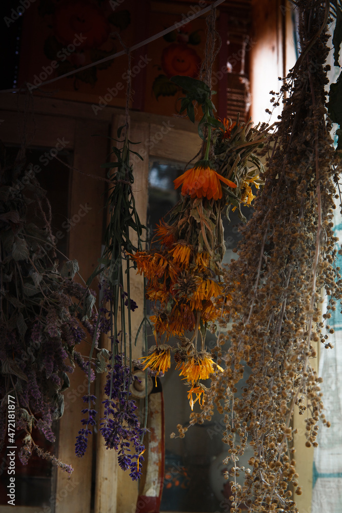 Cozy rustic home kitchen still life with hanging dried herbs, lavanda, calendula, mint and wormwood