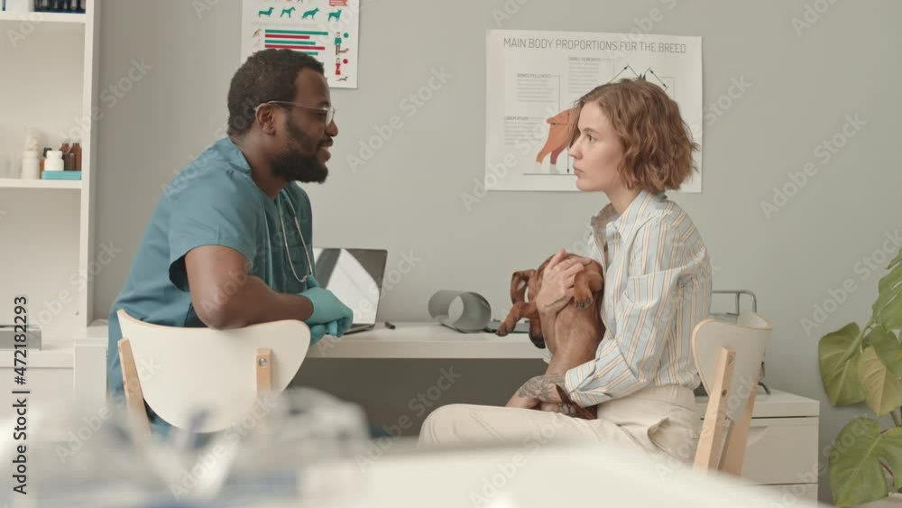 Side view medium long of brown-eyed Caucasian woman holding adorable dachshund dog, sitting on chair in front of Black man wearing scrubs, gloves and glasses, talking in veterinary clinic Side view medium long of brown-eyed Caucasian woman holding adorable dachshund dog, sitting on chair in front of Black man wearing scrubs, gloves and glasses, talking in veterinary clinic