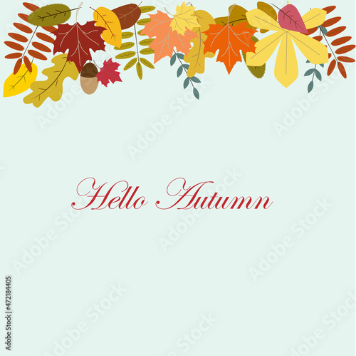 Colored horisontal border with doodle leaves: acorns, oak, maple leaves. Autumn banner. 