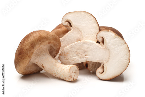 Shiitake mushroom on the White background 