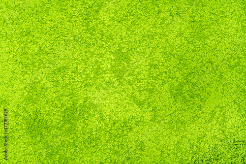 detail of green carpet / texture / background