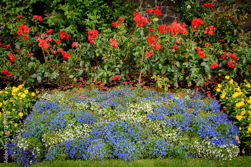 flowerbeds forming the flag of Scotland at Stirling Castle, Scotland.