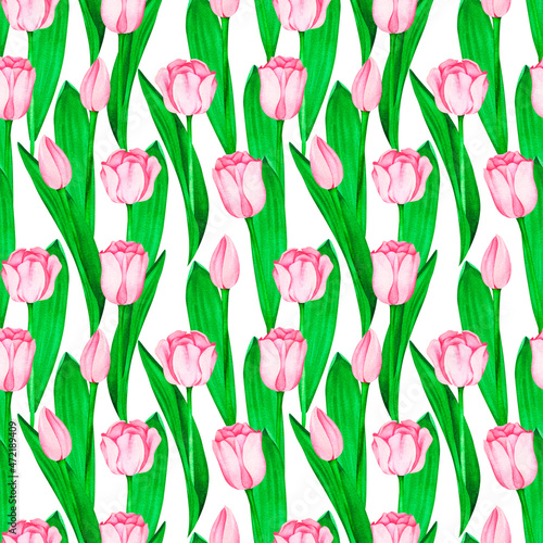 Pink tulips seamless pattern. Watercolor vintage illustration. Isolated on a white background.