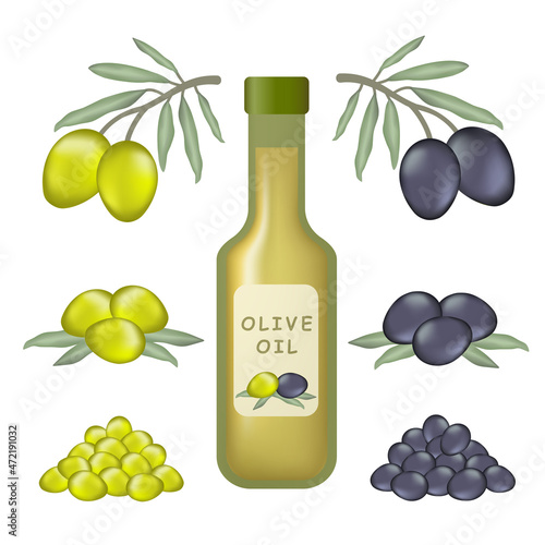 Bottle of fresh extra virgin olive oil.
Green olives on the branch with leaves.
Collection of labels for organic olive oil.
Olive branch with fresh leaves and olives.
A bottle of olive oil.